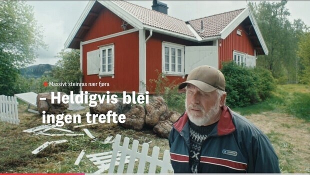 Steinrasmannen