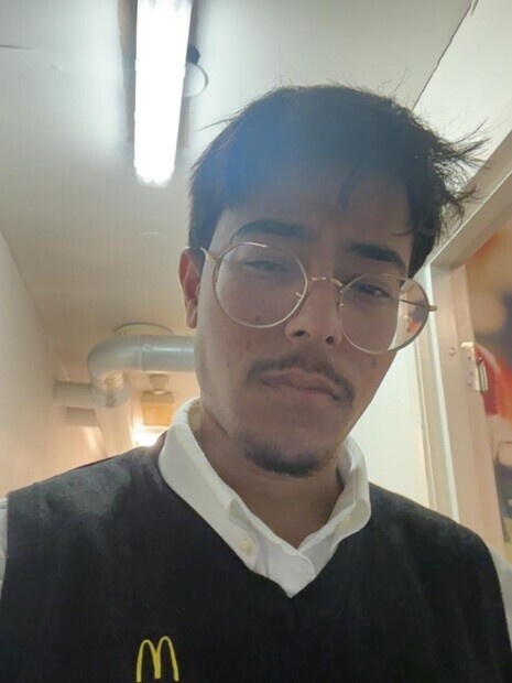 Formell rolle ? profesjonell karakter