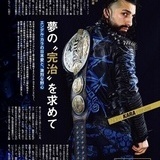 Japansk sportartikel