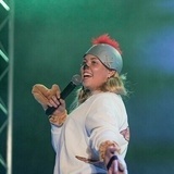 Timon p disneyshow
