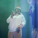 Timon p disneyshow