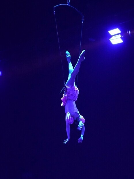 Aerial Harness