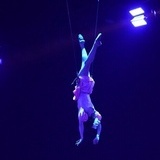 Aerial Harness Aerial Harness