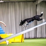 Sponsor samarbete Sponsor samarbete