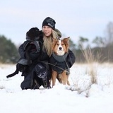 Nonstop dogwear Nonstop dogwear