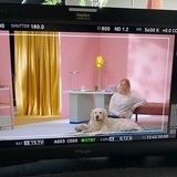 Reklam Bosch fr Bosse