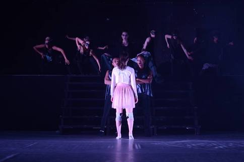 Trnrosa av Fryshuset Gymnasium 2014