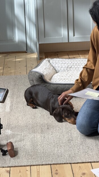 Reklaminspelning med Agria