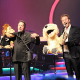 Show I Las Vegas Show I Las Vegas