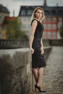 Model til project Model til project