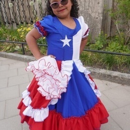 Sveriges nationaldagsfirandet Sveriges nationaldagsfirandet