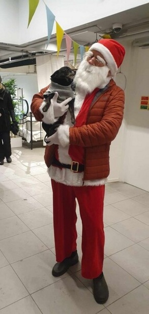 Tomte IKEA