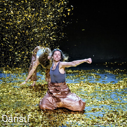 Dansföreställning Dansföreställning