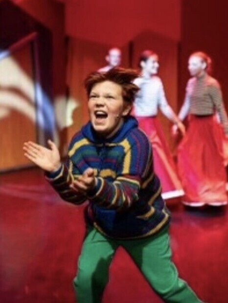 Kan Doktor Proktor Redde Jula?