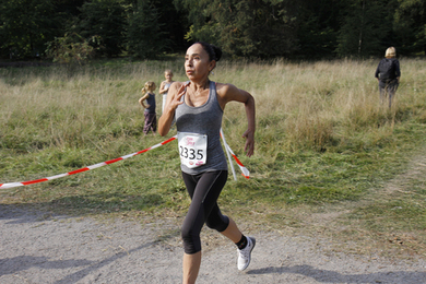 Toplopet 2014 Toplopet 2014