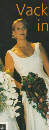 Modevisning Modevisning