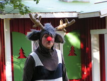 Tomten - En sommarsaga