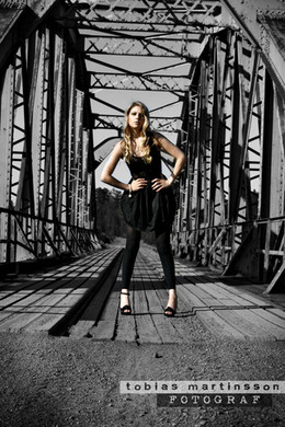 the bridge