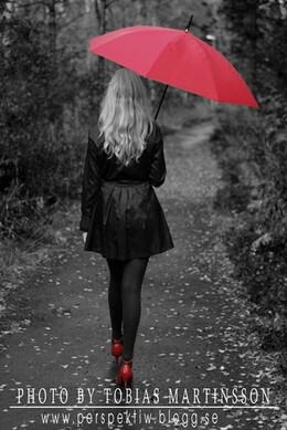 Umbrella Umbrella