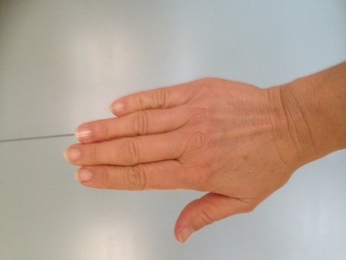 Handmodell Handmodell