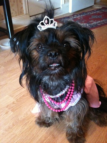 Prinsessan Puff! Prinsessan Puff!