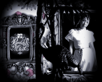 MTV-vinjett Popular Music MTV-vinjett Popular Music