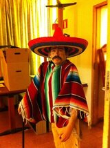 The House of rising San(dviken) The House of rising San(dviken)