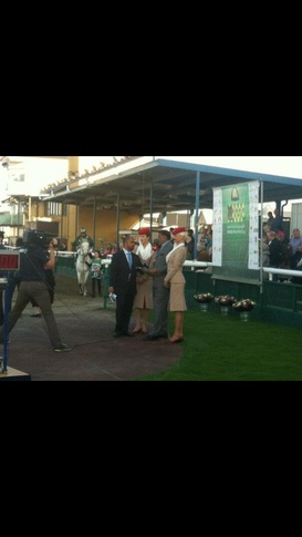 flygvrdinna p polo event