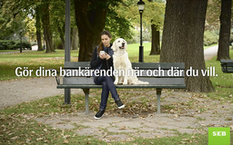 SEB reklam SEB reklam