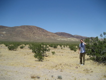 Tallink Silja Line reklam