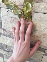 Hand