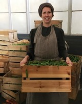 Fröken Frimans krig Fröken Frimans krig