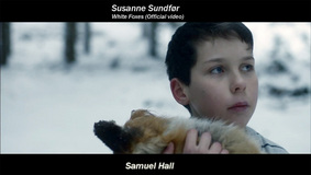 Musikviddeo Musikviddeo