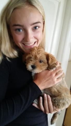 Min hund Marley og jeg