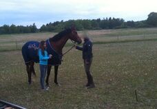 Folksam reklamfilm Folksam reklamfilm