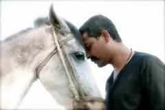 Spelfilm Pleasure Boy Komola Spelfilm Pleasure Boy Komola