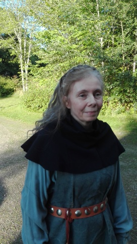 halvdan viking  Gudlg