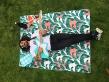 Aymara fotografi Aymara fotografi