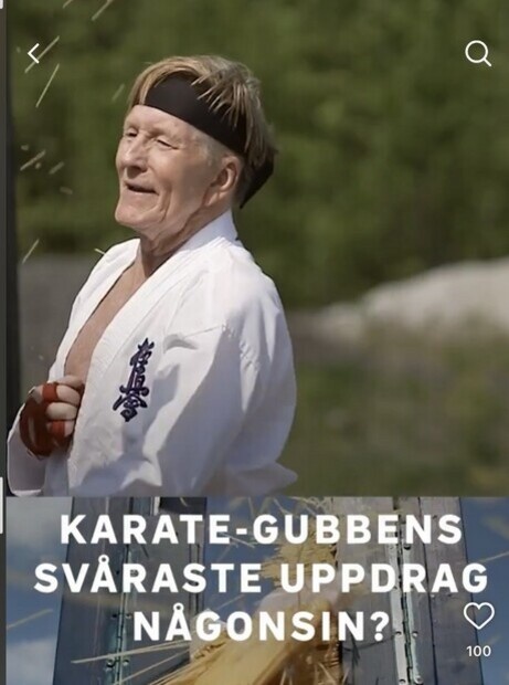 Karategubben