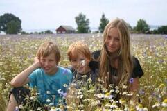 Mina brorsor Mina brorsor