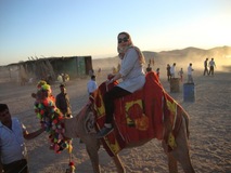 sahara