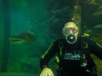 Dykning i Manly Dykning i Manly