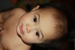 Tova-Li