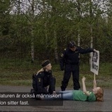Polis