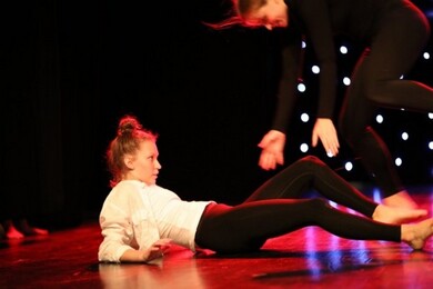 Dansshow Dansshow