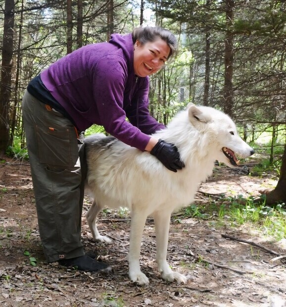 vargreservat i canada