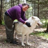 vargreservat i canada