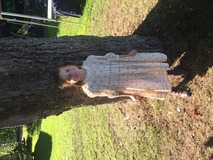 Fröken Frimans Krig Fröken Frimans Krig