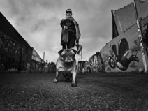 Penny Launch Penny Launch