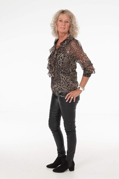 Model